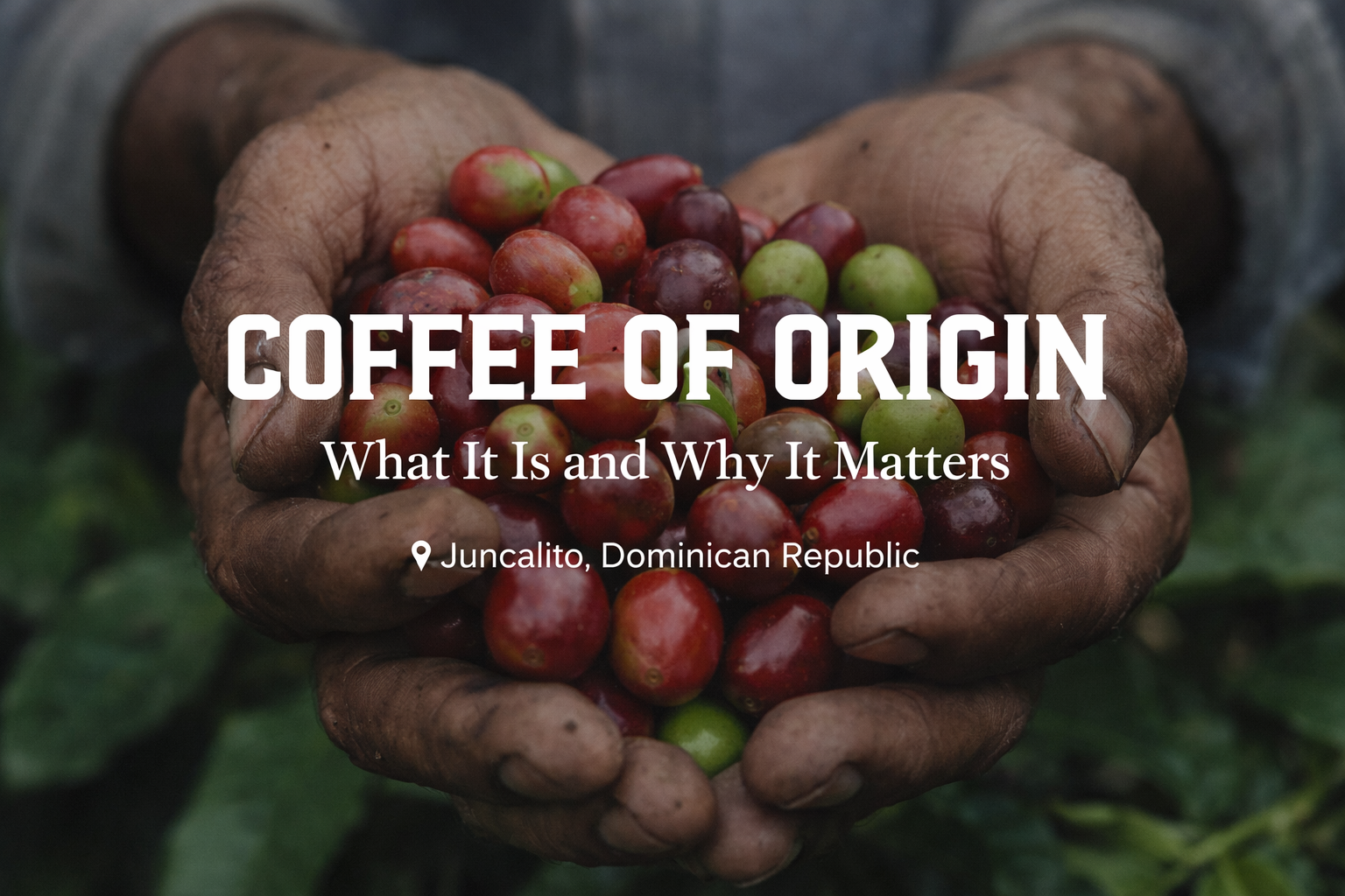 Coffee of Origin: What It Is and Why It Matters